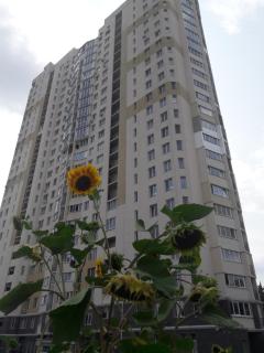 Apartment on Yuvilejnyj avenue - 2