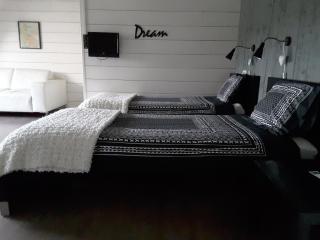 B&B in de Dorpsstraat - Hellendoorn - 3