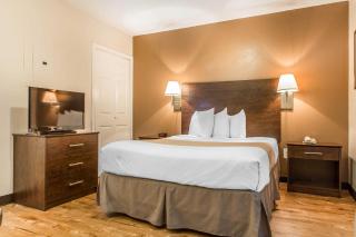 Suburban Studios near University of North Carolina-Charlotte - Charlotte - 1