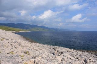 Apartments by the sea Zavalatica, Korcula - 247 - 5