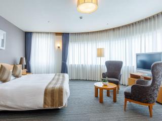Okayama Koraku Hotel - Okayama - 9