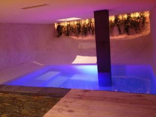 Residence Aqualiva à Valberg Piscine privative dans chacun des appartements situé à 20 m des pistes de ski - 3
