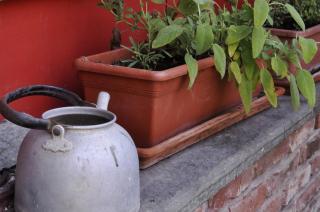 B&B Edera - Castagnole Piemonte - 4
