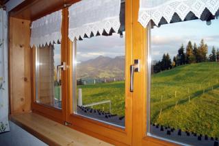 Alpengasthof Brüggele - Alberschwende - 5