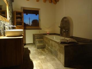 Chalet France - Fieberbrunn - 6