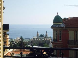 Monte Carlo View - 5