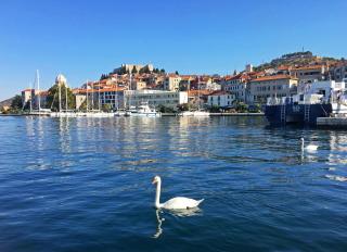 Swan Adriatic Apartment & Room - Šibenik - 4
