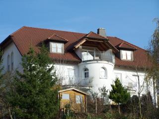 GardenView Apartments & Suites bei Bad Kissingen - Nüdlingen - 8
