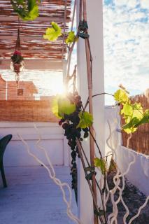 Dimora Storica Monopoli - Monopoli - 6