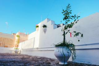 Dimora Storica Monopoli - Monopoli - 4