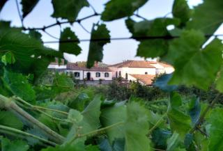 Casa Vacanze Etna - Piedimonte Etneo - 0