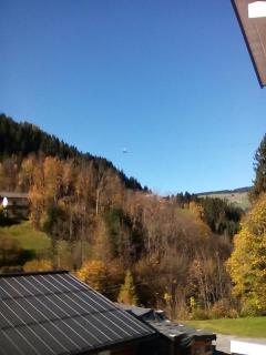 Appartement Deisl - Wagrain - 5