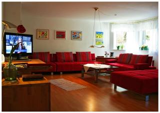 Lissi Apartment nur 5 Min vom Europa Park und direkt am Naturschutzgebiet - Kappel-Grafenhausen - 0