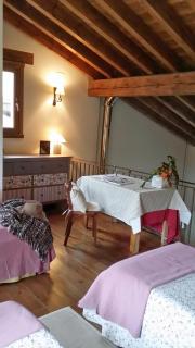 El Hogar del Fresno, casa con encanto en Cañicosa - 4