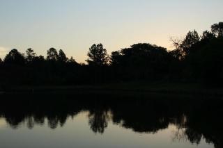Hotel Fazenda Bela Vista - César de Pina - 9