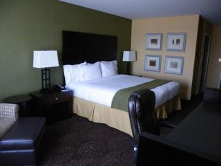Holiday Inn Express and Suites Detroit North-Troy by IHG - 7