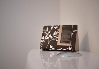 Bellano Motel Suites - 4