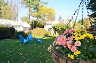 Maple Terrace Motel - 1