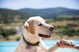 Cabecas do Reguengo - 1