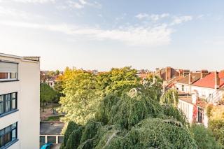 The Livorno - Brussels - 2