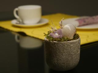 Apartment Haltern - 5