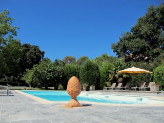 Château du Pegulier - 4