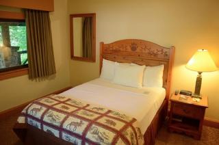 Overlook Lodge and Stone Cottages at Bear Mountain - Highland Falls - 6