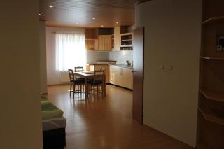 Apartmán v dobré lokalitě - Brünn - 4
