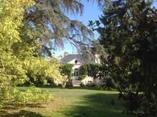 Château de La Villette - Ardentes - 8
