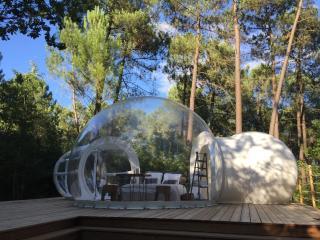 Les Bulles De Bordeaux - Salleboeuf - 0