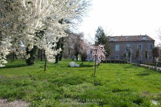 Horti Della Fasanara - Ferrara - 1