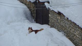 Family Hotel Santo Bansko - Bansko - 5