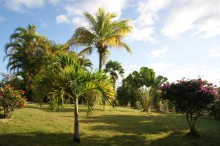 Résidence Anamanga - 9