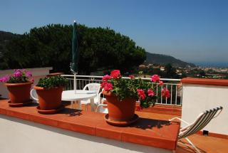 Azienda Agricola Veniero - Piano di Sorrento - 8