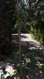 Zimmer In Yuvalim - 6