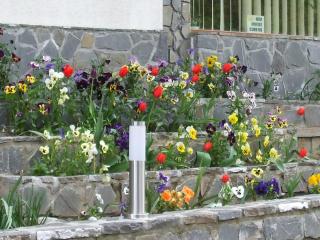 Vila Ana-Maria - Sinaia - 3
