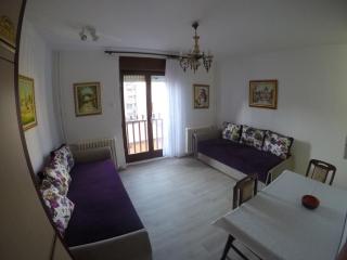 Violet Star Apartment - Novi Sad - 0