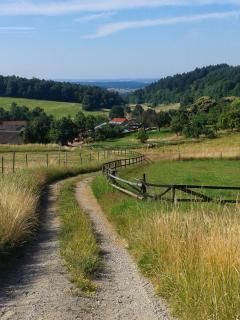 FeWo Am Neckarsteig - 1