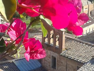 Residenza d'Epoca Campo Regio Relais - Siena - 1