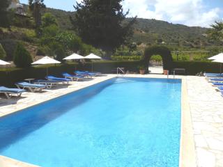 Ampelokipi Holiday Apartments - Pissouri - 3