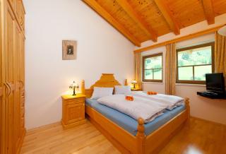 Ferienhaus Hochkönig - Dienten am Hochkönig - 5