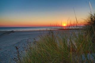 FEWO Mövennest - Borkum - 4