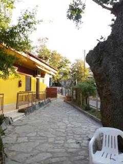 Villa Maria Apartments - Polykhrono - 8