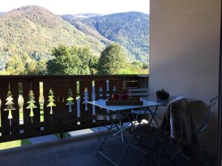 Appartement Les Pics d'Aran - Luchon - 8