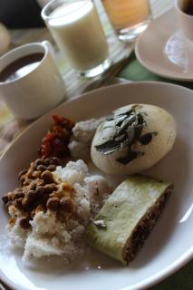 Karapuram Village Resort & Spa - 8