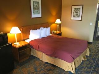 Americas Best Value Inn-Livonia/Detroit - 5
