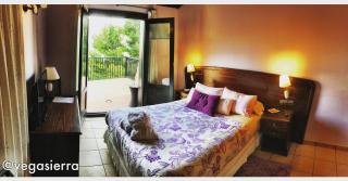 Hotel VegaSierra - Bogarra - 8