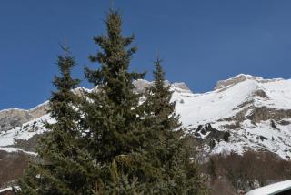 Le Flocon des Aravis - La Giettaz - 3