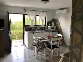 Gourgiana Apartments - Andritsaina - 3