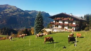 Hof Hamoos - Kitzbühel - 0